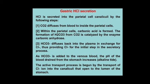 GIT LEC.3 смотреть онлайн