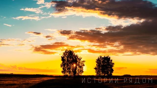 Услышав странный звук, Владимир поспешил в овраг, но увидев…