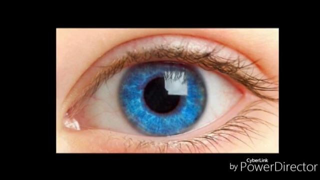 Интересные факты : почему зрачок человека расширяется и сужается?!