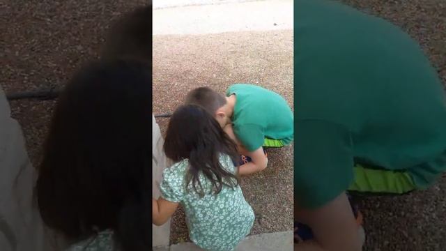 Metal detecting смотреть онлайн