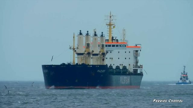 Polski masowiec "MAZURY" mija się z wychodzącym w rejs do Ystad promem "POLONIA" | Ferries Channel смотреть онлайн