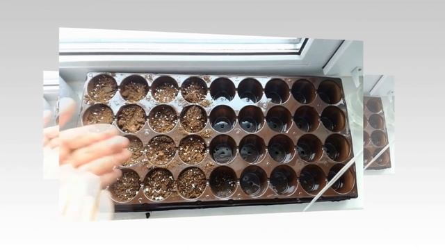 ЧТО НУЖНО ДЕЛАТЬ В ДЕКАБРЕ - ЯНВАРЕ? ПЛАНЫ НА 2019 ГОД! ЗАКРЫВАЕМ ДАЧНЫЙ СЕЗОН! смотреть онлайн