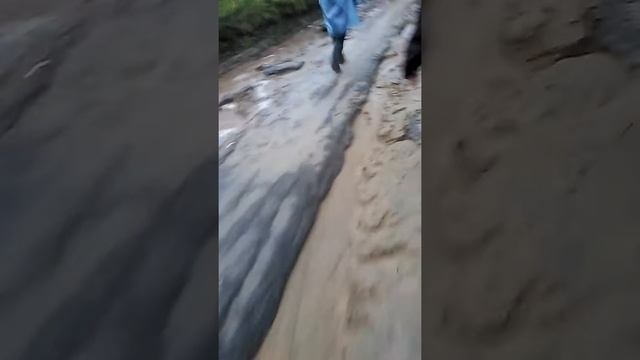 С. Кулига тюменская область тюменский район!!!