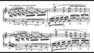 Liszt - Waldesrauschen / AUDIO | Martin IVANOV, piano
