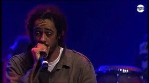 Damian Marley and Nas- Patience (Live)