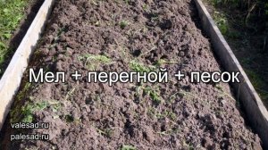 ОБЯЗАТЕЛЬНО СДЕЛАЙТЕ ЭТО ПРИ ПОСАДКЕ ЛУКА ВЕСНОЙ ДЛЯ ОТЛИЧНОГО УРОЖАЯ!