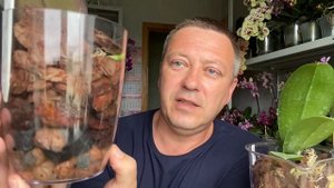 НАЧАТЬ поливать орхидеи ВАЖНО ТАК а ЦИОН для орхидей фалинопсисов дорогая безделица