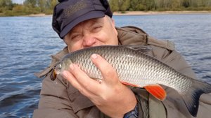 Голавли на Волге в +5 градусов