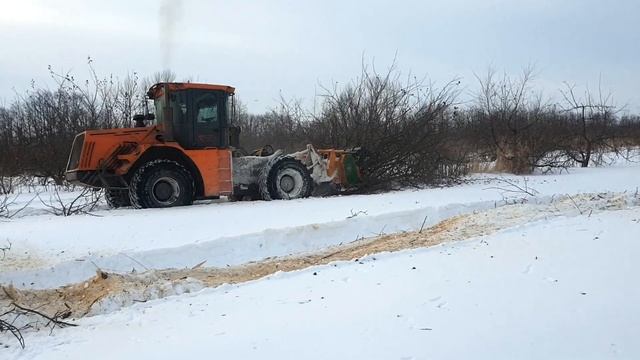 Удаление старого сада .Трактор МФ705 PRO c мульчером SERRAT FX+ T2000 смотреть онлайн