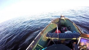 Выходные на Рыбинском водохранилище