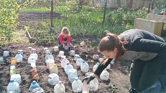 Vlog проверку сделала, мышей нет?, можно продолжать в том-же духе ?Ночевать на даче. #влог смотреть онлайн