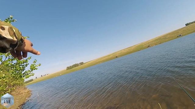 ТАКИХ КАРАСЕЙ Я ЕЩЕ НЕ ВИДЕЛ!!! РЫБАЛКА В ДЕРЕВНЕ АЛТАЯ! смотреть онлайн