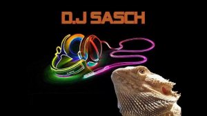 DJ Sasch FunnyM T mixx