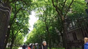 Колумбийский Университет в Нью Йорке