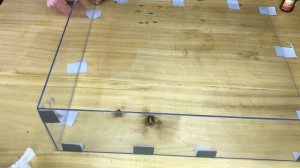 КАК СКЛЕИТЬ ПОЛИКАРБОНАТ, ОРГСТЕКЛО | Дихлорэтан