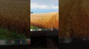 Ой,ты рожь. Муз. А Долуханяна ,Сл. А. Пришельца.