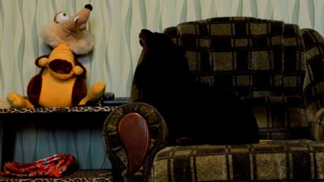 Такса Мотя-наш домашний секретарь смотреть онлайн