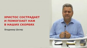 Владимир Шкляр. Христос сострадает и помогает нам в наших скорбях