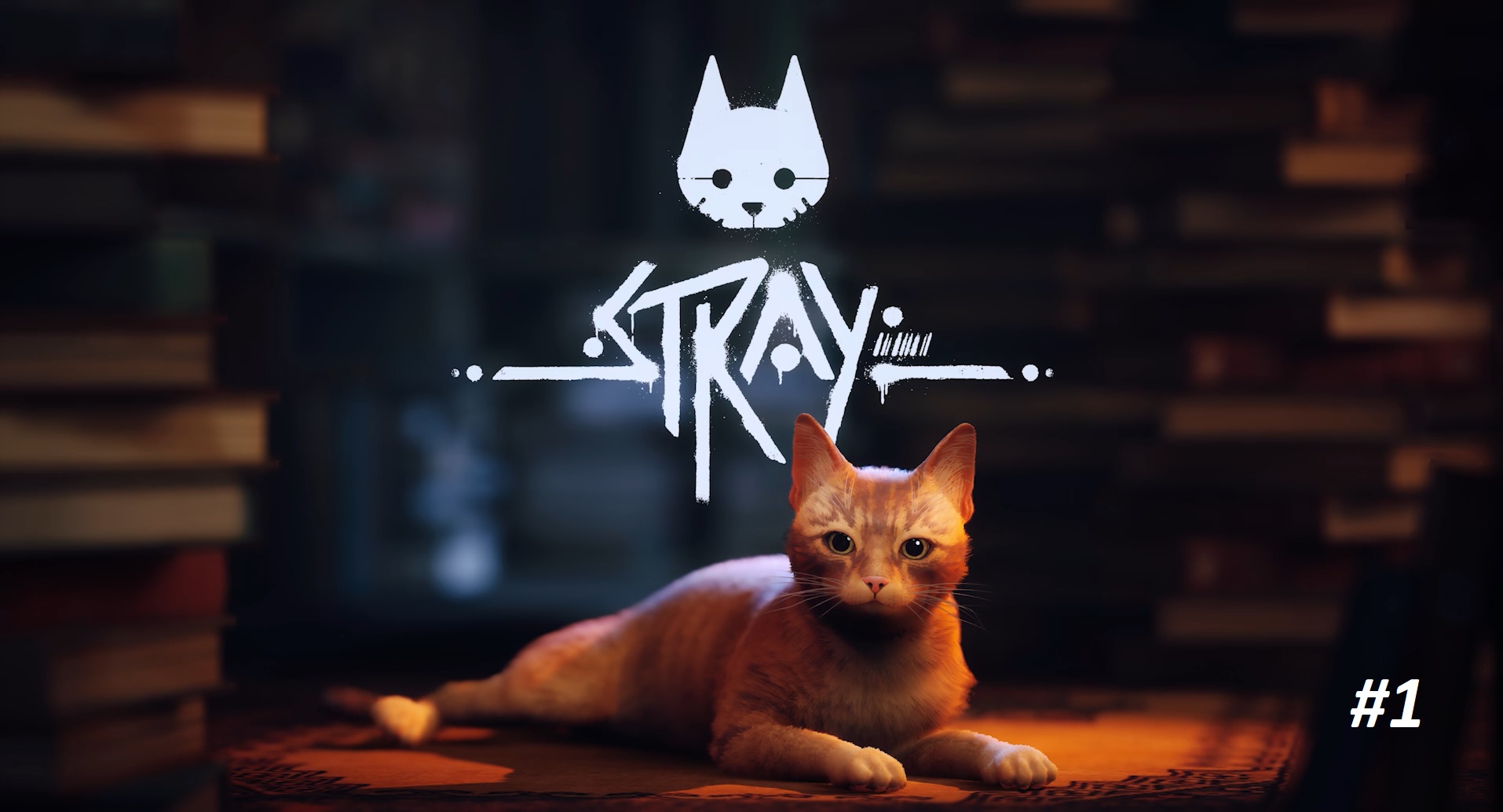 STRAY. Прохождение сначала #1