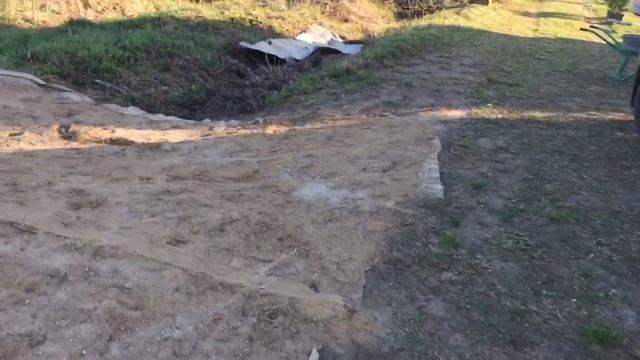 28.04.19. Туи Брабант пересадили в бОльшие горшки и прикопали. смотреть онлайн