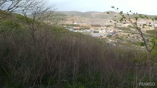 С САНЕЙ СБЕГАЛИ ЗА ПАПОРОТНИКОМ . смотреть онлайн