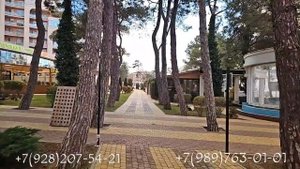 ЗИМА В ГЕЛЕНДЖИКЕ. Январь 2024. ПОГОДА на курорте. Набережная, МОРЕ. НОВОСТИ рынка недвижимости.