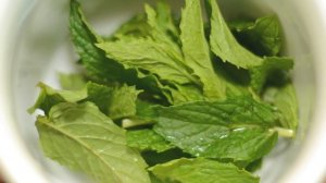 ЛИСТЬЯ ЖИЗНИ! Пару листьев МЯТЫ, и забудьте о БОЛЯЧКАХ навсегда!