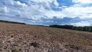 Нашёл распаханное поселение с серебром