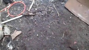 конный и мотоблочный плуг( корпус)