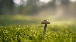 Музыка для медитации, исцеления и сна - Тета волны 4 Гц