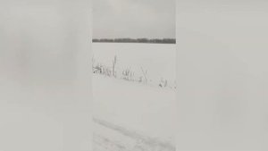 Динго Т 125 / Dingo  покатушки на снегоходе.