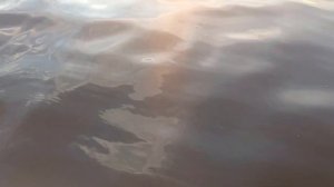 Такое случается раз в жизни  рыбалка на озере Синара