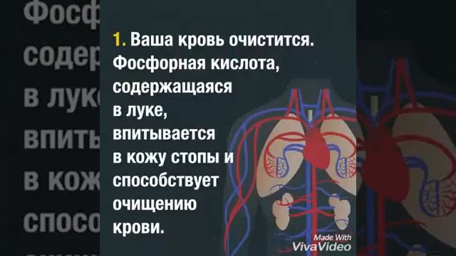 Польза лука смотреть онлайн