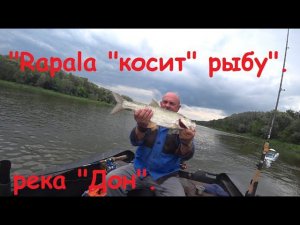 "Rapala "косит" рыбу", рыбалка на реке "Дон".