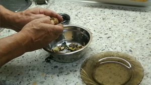 когда собирать грецкие орехи. сад огород.#грецкийорех