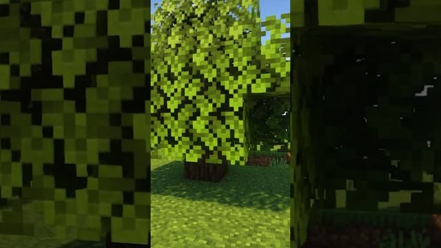 Реалистичное Дерево в Майнкрафт смотреть онлайн
