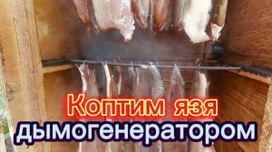 Как закоптить Язя холодным способом с помощью Дымогенератора. Подробно! Язык проглотишь!