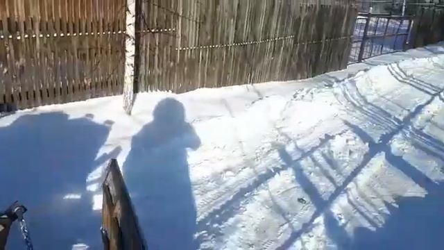 Самодельный минитрактор смотреть онлайн