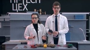 Правда или ложь: можно ли зарядить телефон от картошки?