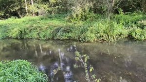 Страничка Надежды/ Хитрая Надежда/  А я хочу ….