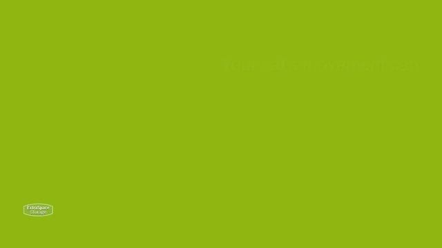 How to Design  Organize a Cat Room