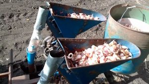 #Сажалка чеснока 2 версия