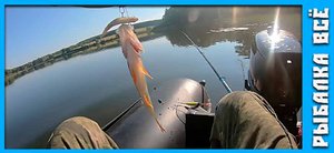 щука окунь живец или блесна