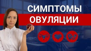 КАК ОПРЕДЕЛИТЬ ОВУЛЯЦИЮ? КАКИЕ СИМПТОМЫ?