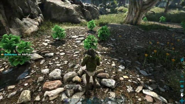 2020 арк Valguero ОВОЩИ ДИКОРАСТУЩИЕ ГДЕ ВЗЯТЬ СРАЗУ БЕЗ СВОЕГО ОГОРОДА от OnlyHarry смотреть онлайн