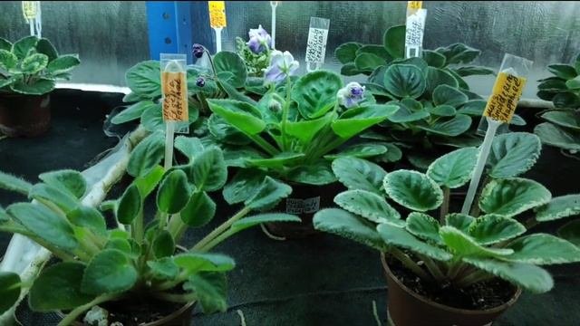 Обзор стеллажей в феврале и работа по заказам.