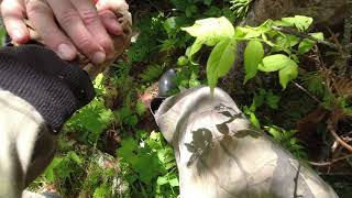 Ну понеслась! смотреть онлайн