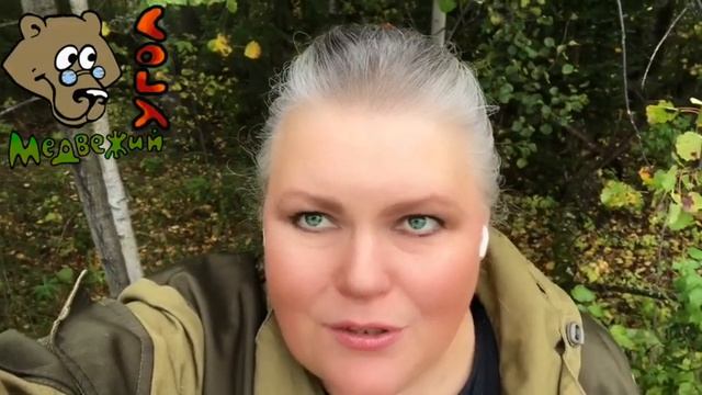 Как правильно употреблять таёжный мёд? смотреть онлайн