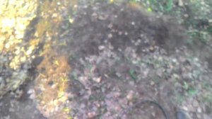 Обзор садового пылесоса Bosch ALS 30