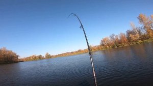 Краснопёрка на спиннинг/Ловля на микроджиг/"Белая" рыба на спиннинг/Влияет ли цвет приманки на клёв